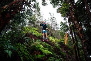 BIB: 
                            <button type="button" onclick="openModal(26204738)" class="btn btn-primary btn-sm float-right btn-popup" data-toggle="modal" data-target=".modal-high-quality">
                        <i class="fas fa-shopping-cart"></i> Add to Cart
                    </button>
                                            <button type="button" onclick="isThisMe(26204738, true)" class="btn btn-success btn-sm float-right btn-popup btn-isme hidden" data-toggle="tooltip" data-placement="bottom" title="นี่คือรูปของคุณใช่ไหม คลิกที่นี่เพื่อเอาเข้าอัลบั้ม">
                        <i class="fas fa-plus"></i> Add to album
                    </button>
                    <button type="button" onclick="isThisMe(26204738, false)" class="btn btn-warning btn-sm float-right btn-popup btn-isnotme hidden">
                        <i class="fas fa-ban"></i> Remove from album
                    </button>